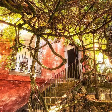 Bed & Breakfast Quinta Do Ameal - Wine & Tourism