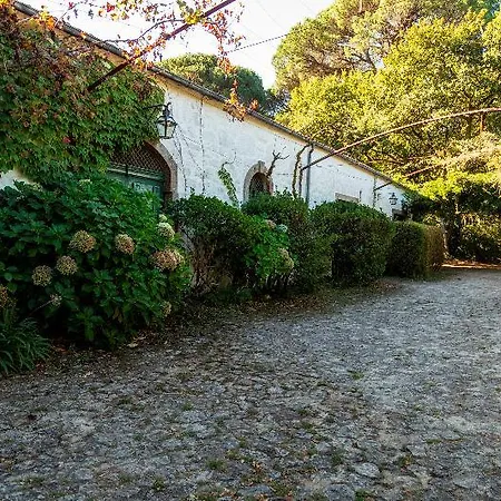 Quinta Do Ameal - Wine & Tourism Ponte de Lima
