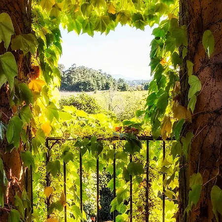 Quinta Do Ameal - Wine & Tourism 5* Ponte de Lima