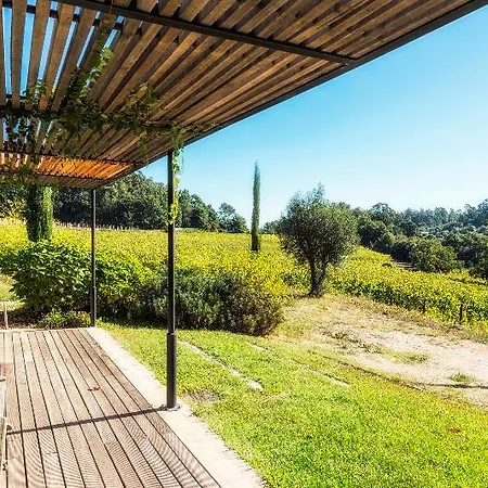 Bed & Breakfast Quinta Do Ameal - Wine & Tourism