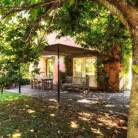 Quinta Do Ameal - Wine & Tourism 5* Ponte de Lima