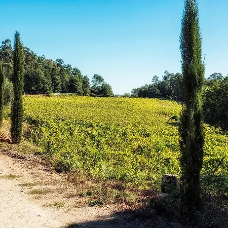 Bed & Breakfast Quinta Do Ameal - Wine & Tourism